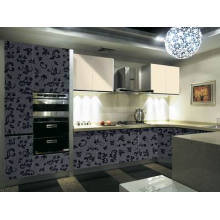 Cabinet de cuisine en acrylique Demet (DM-9624)